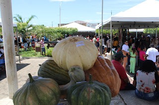Sucesso total 4º Feira Agro Campo em São João da Serra - Imagem 110