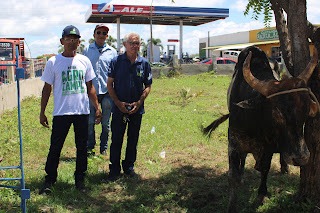 Sucesso total 4º Feira Agro Campo em São João da Serra - Imagem 154
