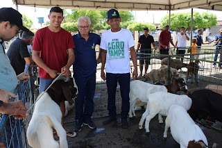Sucesso total 4º Feira Agro Campo em São João da Serra - Imagem 140