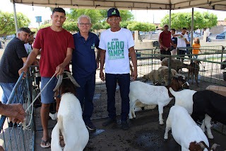 Sucesso total 4º Feira Agro Campo em São João da Serra - Imagem 141