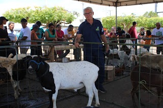 Sucesso total 4º Feira Agro Campo em São João da Serra - Imagem 136