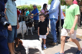 Sucesso total 4º Feira Agro Campo em São João da Serra - Imagem 145