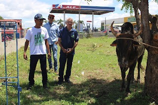 Sucesso total 4º Feira Agro Campo em São João da Serra - Imagem 153
