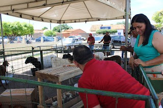 Sucesso total 4º Feira Agro Campo em São João da Serra - Imagem 144