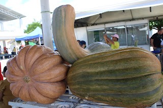 Sucesso total 4º Feira Agro Campo em São João da Serra - Imagem 102
