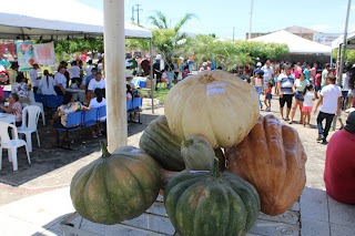 Sucesso total 4º Feira Agro Campo em São João da Serra - Imagem 113