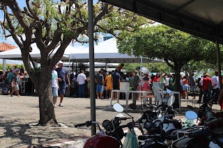 Sucesso total 4º Feira Agro Campo em São João da Serra - Imagem 42