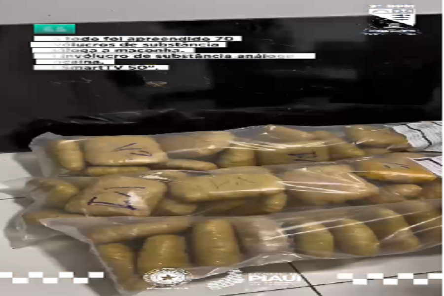 Força Tática, apreende grande quantidade de entorpecentes em Floriano