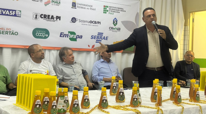 Maior produtor de mel do Piauí, São Raimundo Nonato sedia Seminário de Apicultura e Meliponicultura