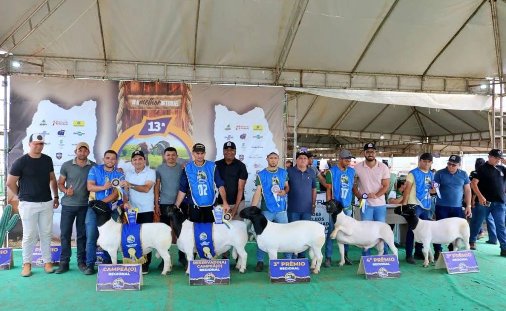 Último dia da Caprinova 2025 reúne cavalgada, Missa dos Vaqueiros e grandes shows em Queimada Nova