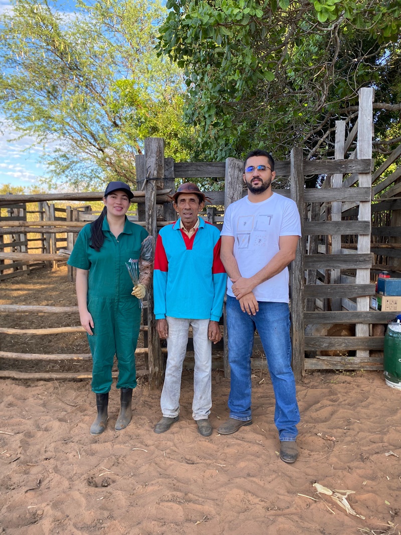 Programa Piauí Mais Genética avança com atendimentos em comunidades de Simplício Mendes - Imagem 1