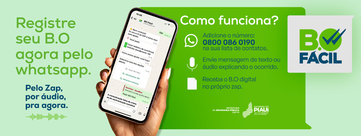 Piauí lança amanhã 1° serviço do Brasil para registrar BO via WhatsApp - Imagem 1