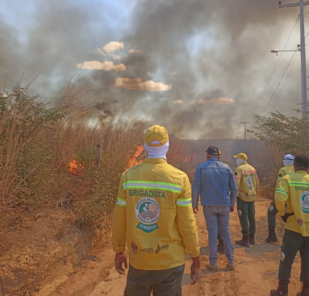 Incêndio atingiu localidade em Bom Jesus, mas foi controlado (Foto: Ascom Semarh)