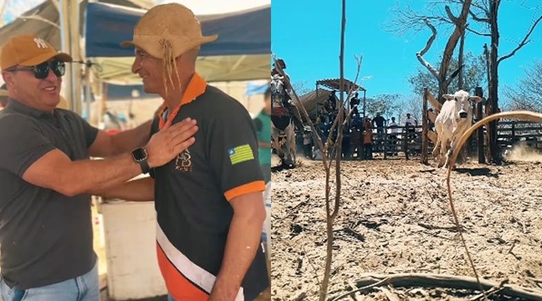 Cincal celebra o agricultor com festa tradicional e premiação de R$ 20 mil