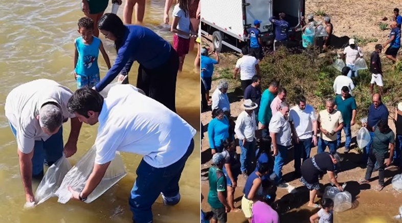 Lagoa de Parnaguá recebe 100 mil alevinos em ação da Prefeitura