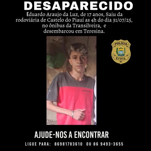 Adolescente desaparece ao sair de Castelo do Piauí e mãe teme que filho tenha sido influenciado - Imagem 1
