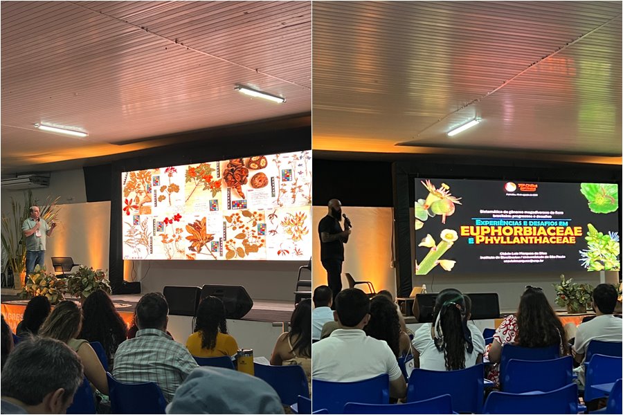 Estudantes de Francinópolis representam o município em Congresso Nacional de Botânica - Imagem 1