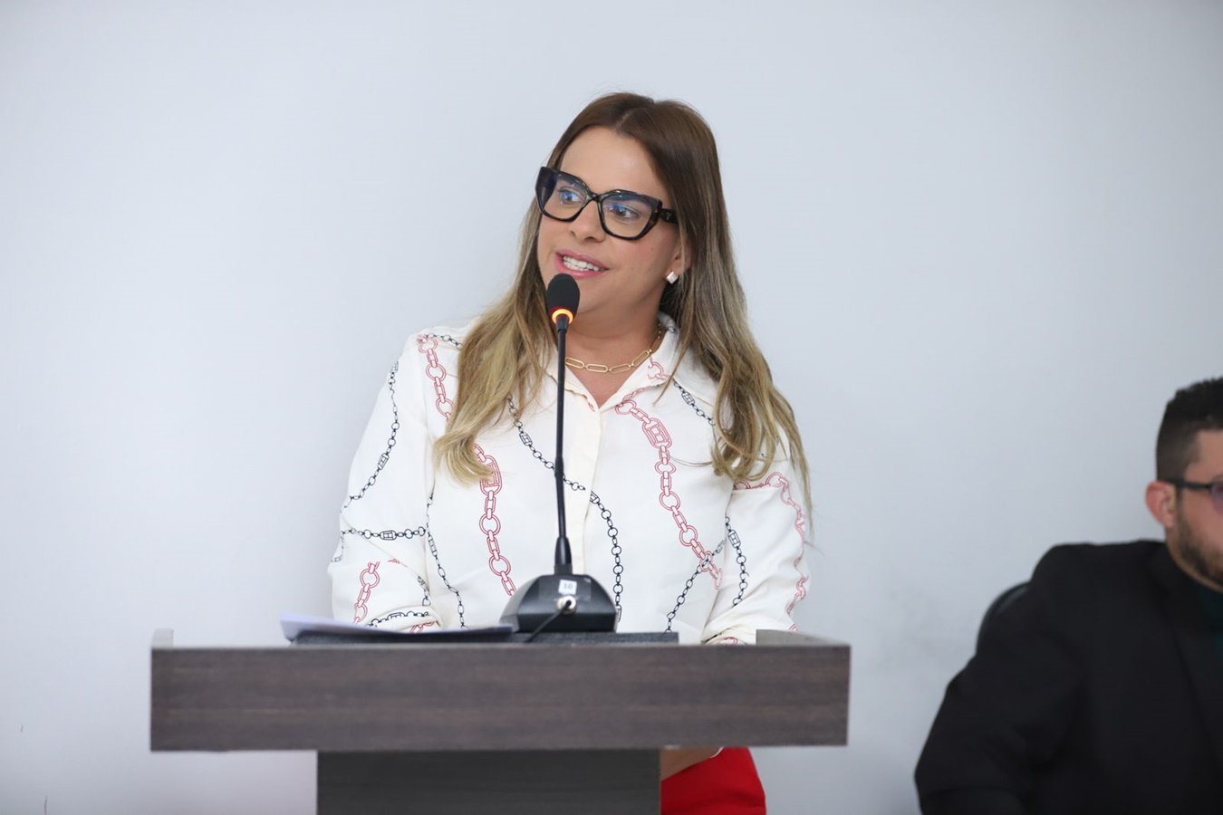 Prefeito de Curimatá participa de sessão na Câmara para discutir projetos sociais e ambientais - Imagem 5