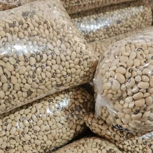 Fortalecimento da agricultura familiar ganha força em Campo largo do Piauí - Imagem 2