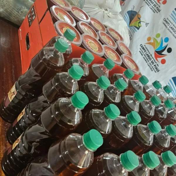 Fortalecimento da agricultura familiar ganha força em Campo largo do Piauí - Imagem 1