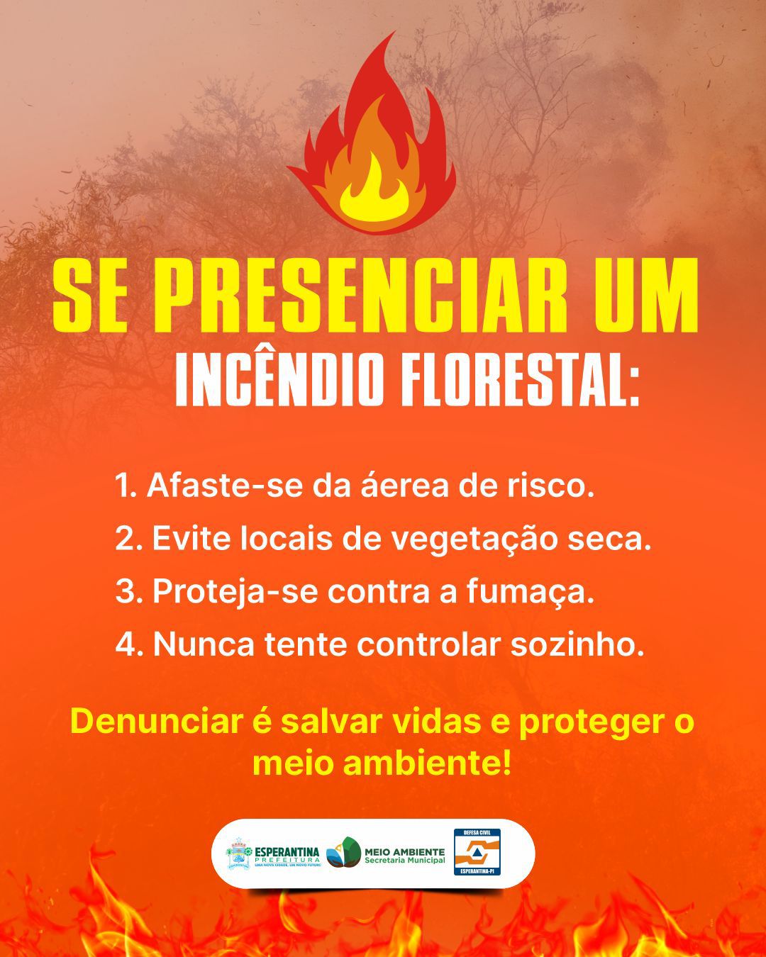 Prefeitura intensifica campanha de prevenção a incêndios florestais em Esperantina - Imagem 2