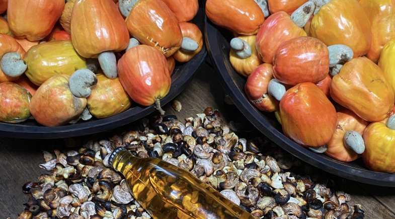 I ExpoCaju no Santa Teresa tem programação com palestras, visitas técnicas e shows