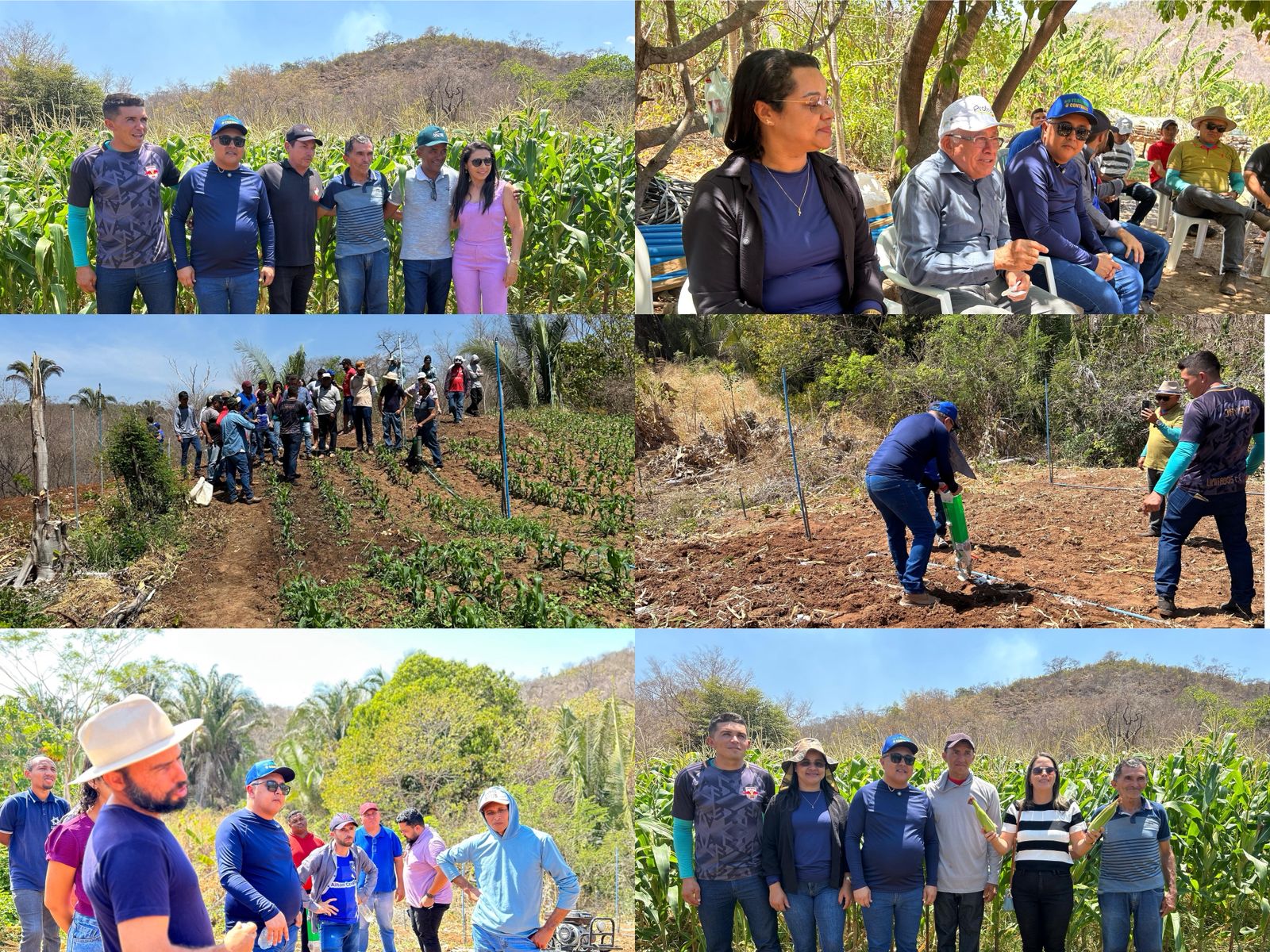 Dia de campo em fazenda de agricultura familiar - Foto: Prefeitura de Tanque do Piauí