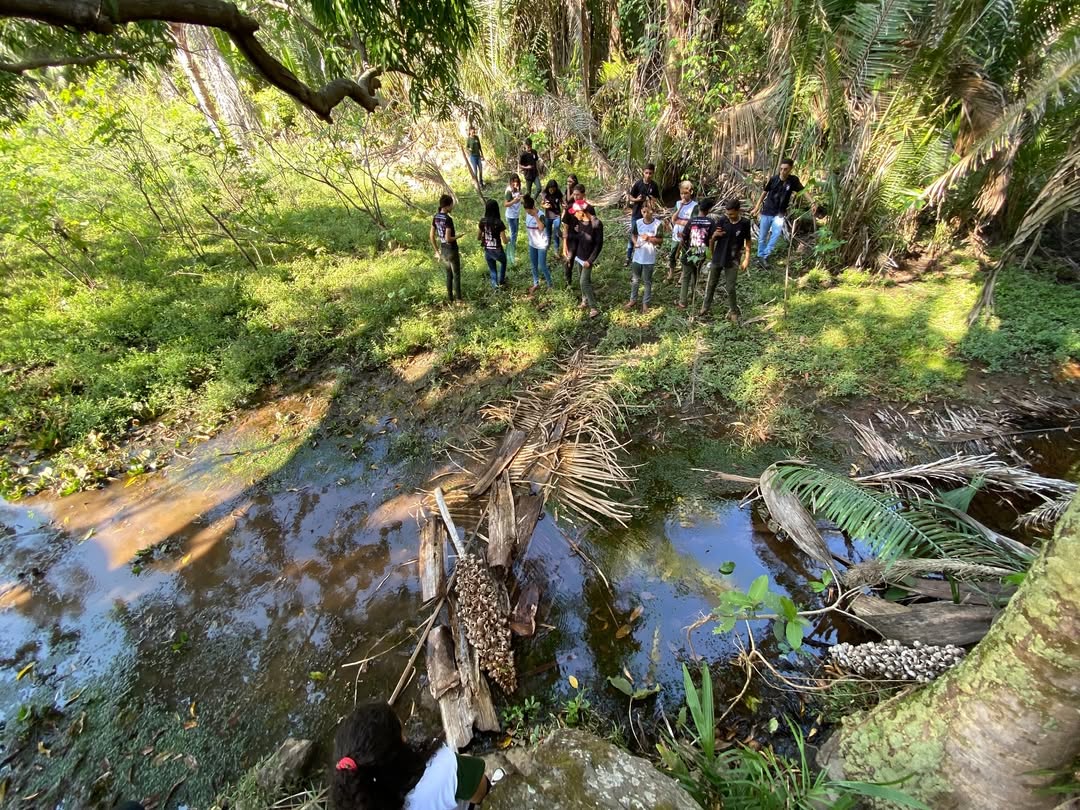 São João do Arraial realiza trilha ecológica com alunos da rede municipal - Imagem 1