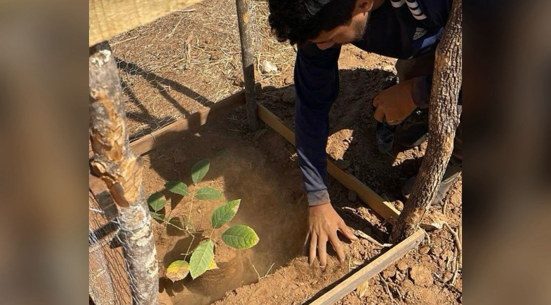 Prefeitura de Coronel José Dias executa projeto de reflorestamento pelo município