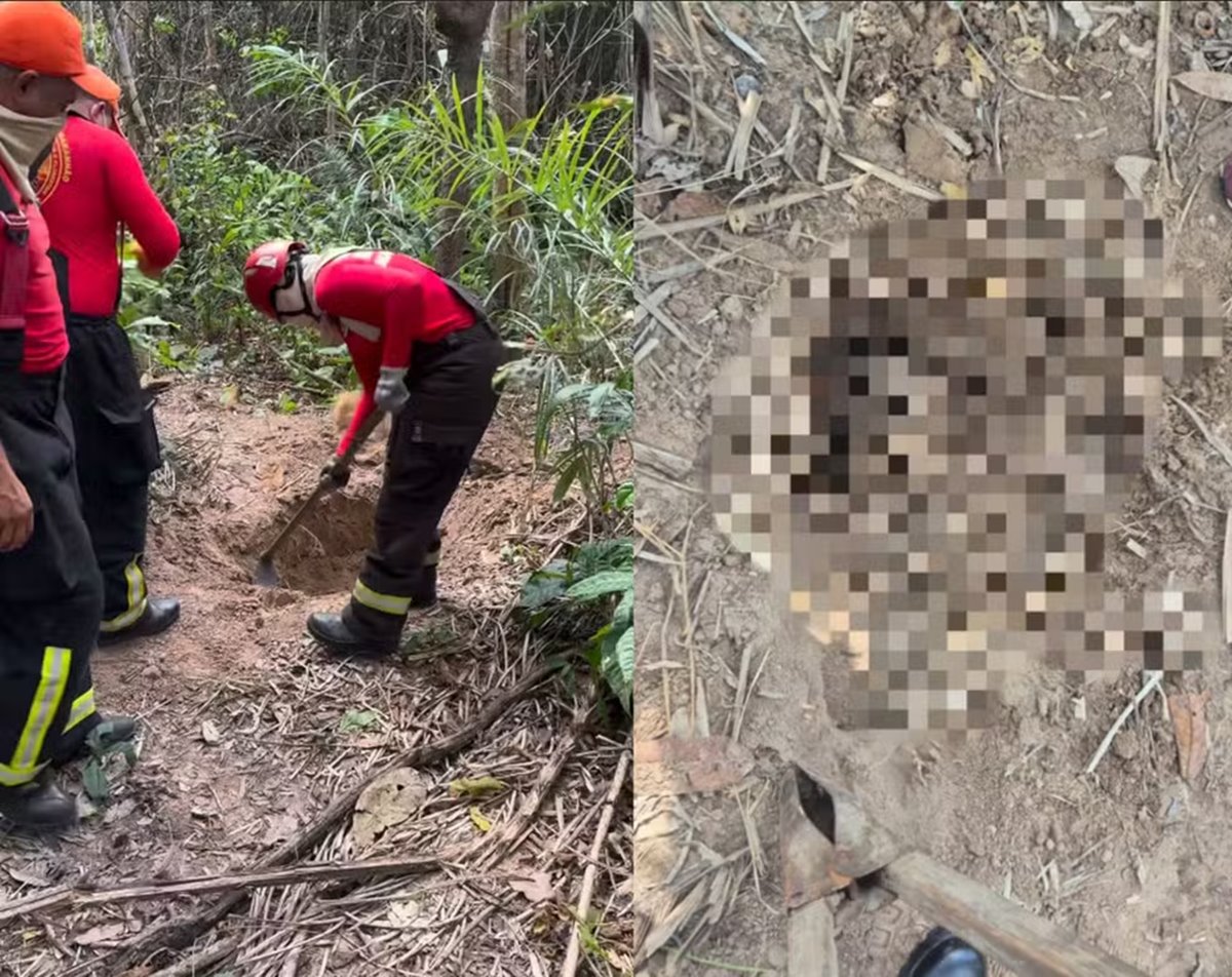 Dois corpos esquartejados são encontrados em área de vegetação, em Imperatriz, no MA — Foto: Divulgação/Redes sociais 