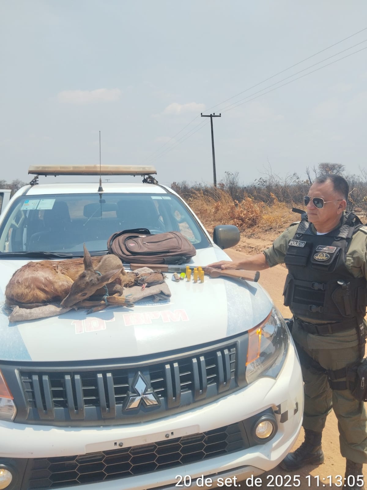 Homem abandona saco com animais abatidos ao fugir de patrulha policial no Piauí - Imagem 2