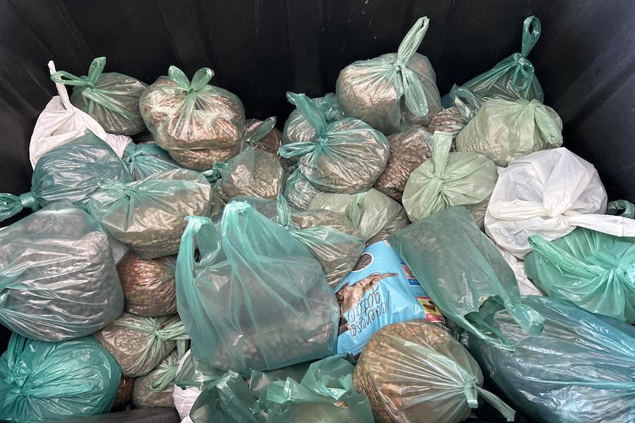 Troca de alimentos e ração por abadás da Micarina 2025 já começou em Esperantina - Imagem 1