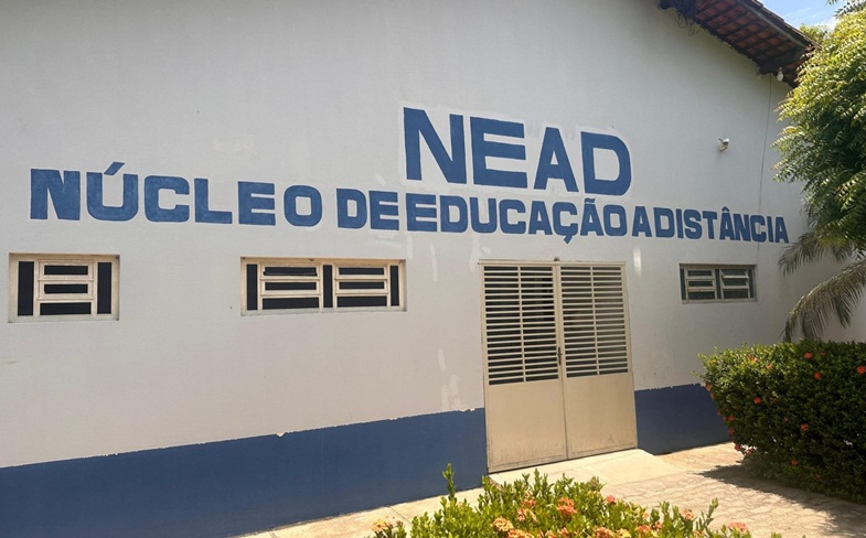 Processo seletivo é realizado por meio do Núcleo de Educação a Distância (Nead). (Foto: Ascom Uespi)