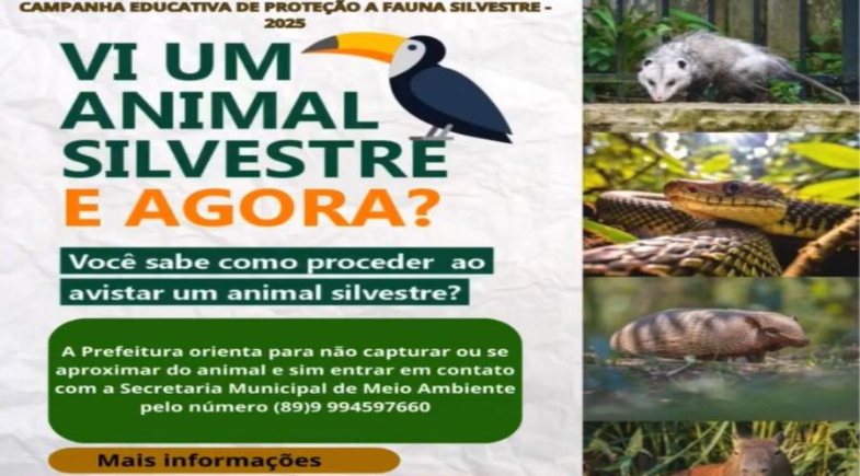 Landri Sales realiza campanha de proteção à fauna silvestre