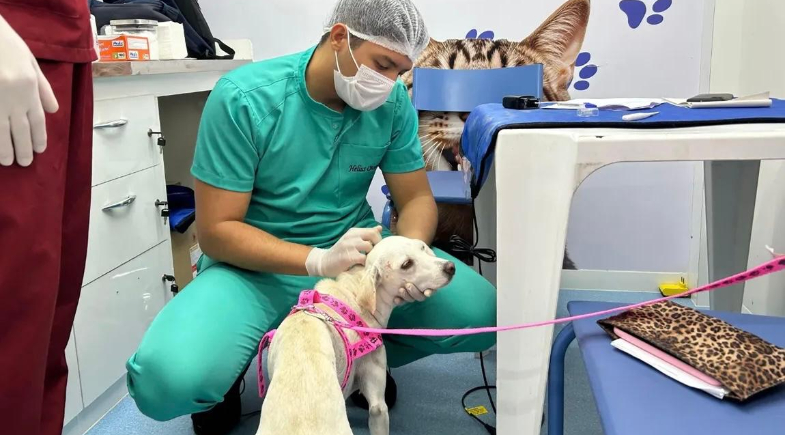 Município de Água Branca recebe serviços do Castramóvel