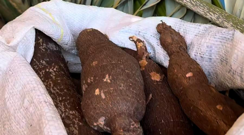 União promove Feira do Marajá