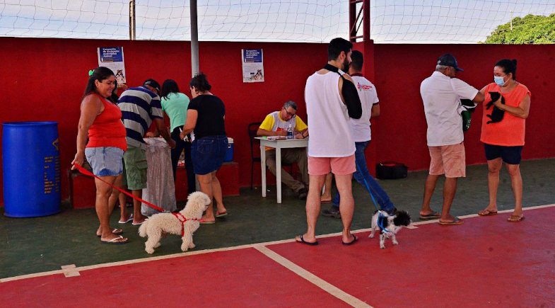 Prefeitura de Santo Antônio de Lisboa realiza campanha de vacinação antirrábica