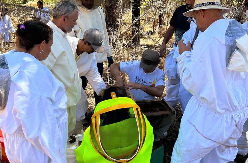 A Prefeitura de Marcos Parente promove Quintal Produtivo Agroecológico  - Imagem 3