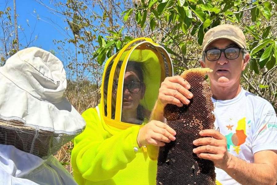 A Prefeitura de Marcos Parente promove Quintal Produtivo Agroecológico  - Imagem 4