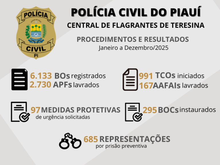 Central de Flagrantes de Teresina registrou quase 3 mil autos de prisão e 6 mil boletins - Imagem 1