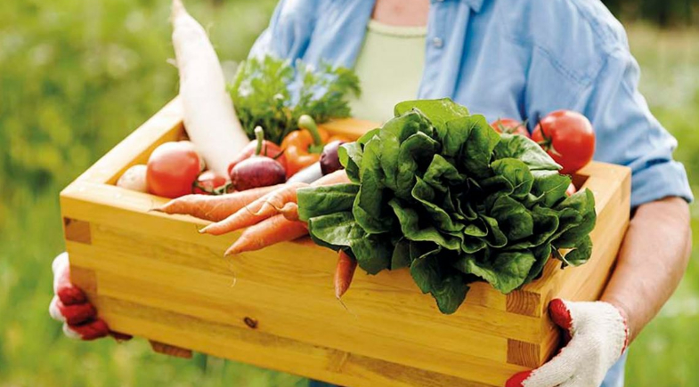 Prefeitura de São João do Arraial abre Chamada Pública do PNAE 2026 para Agricultura Familiar