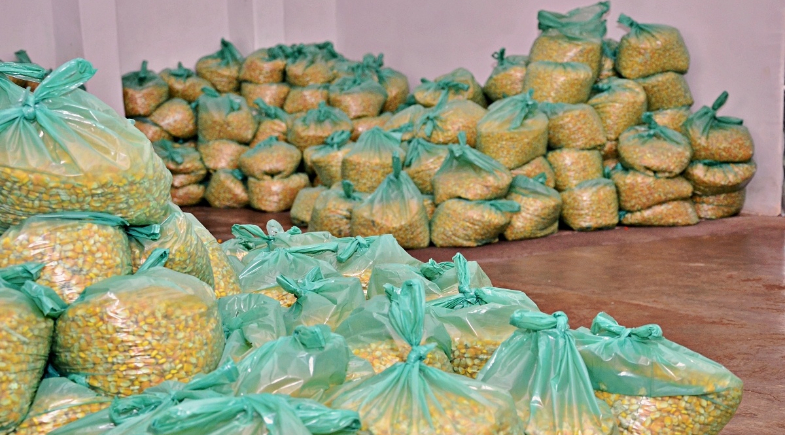 Prefeitura de Santo Antônio de Lisboa realiza entrega de sementes a agricultores