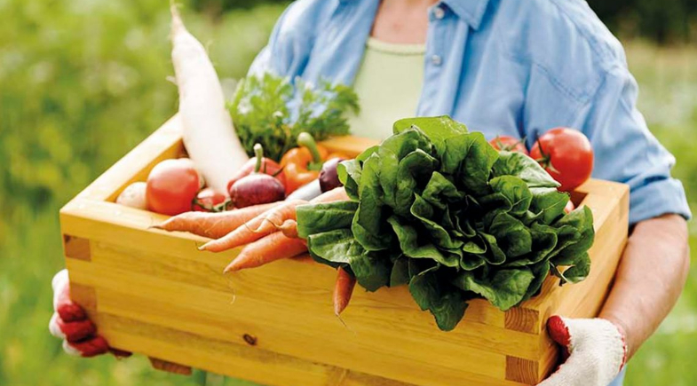 Prefeitura de Buriti dos Montes promoverá mais uma edição da Feira da Agricultura Familiar