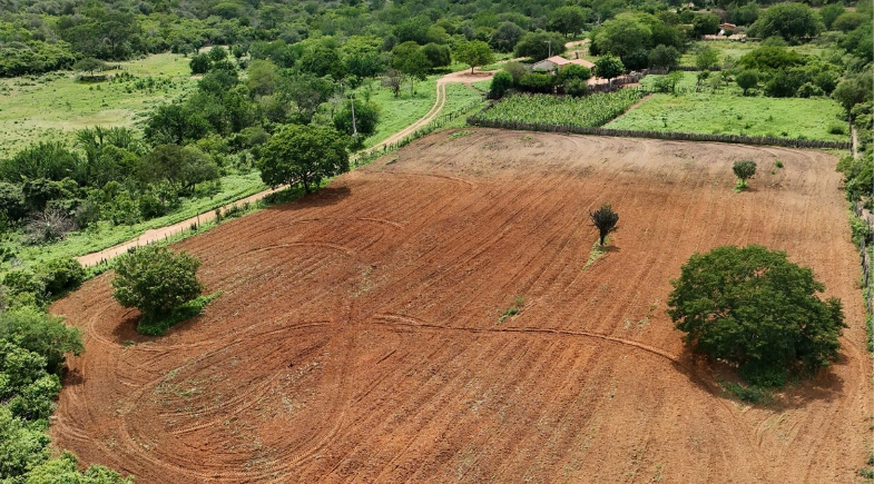 Prefeitura de São Raimundo Nonato já realizou mais de 960 horas de aração de terras para agricultores familiares
