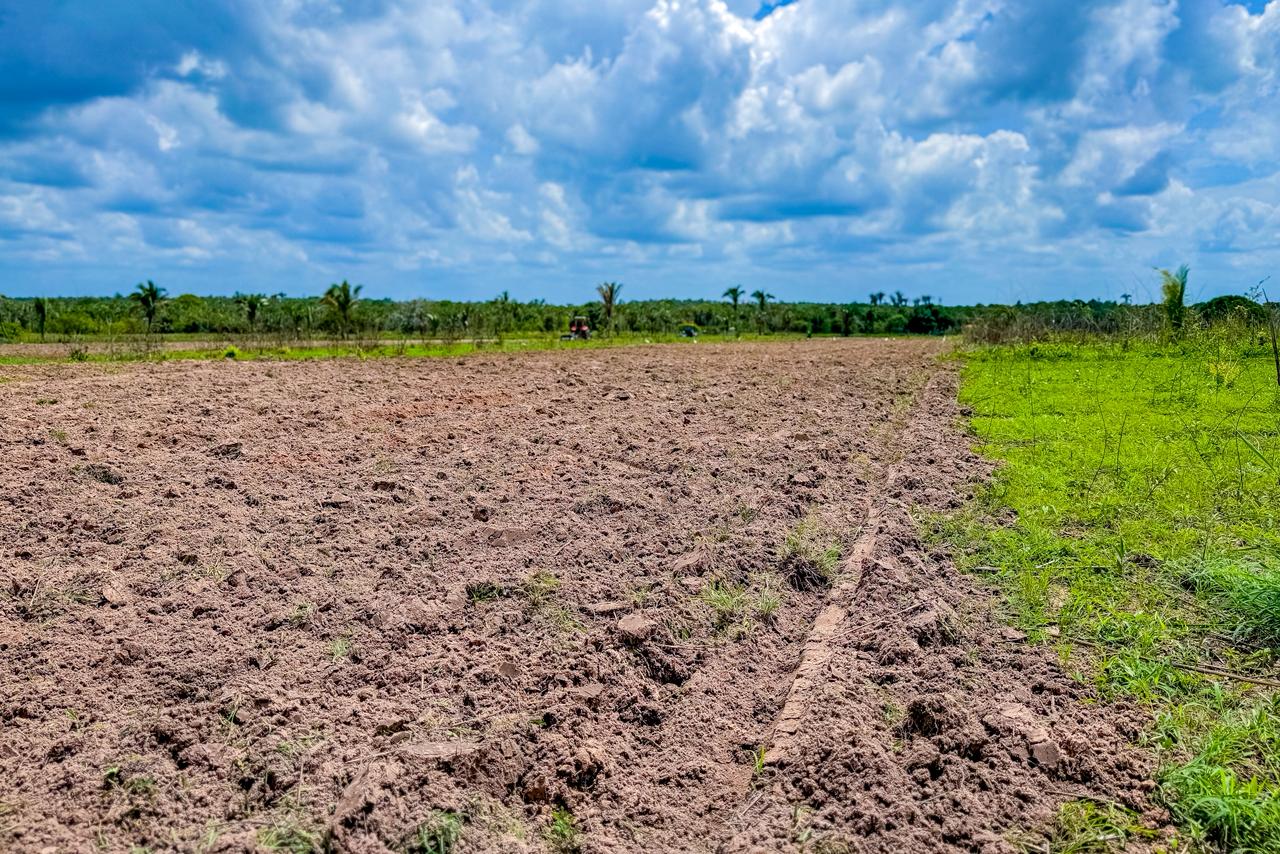 Serviço de recuperação de terras - Foto: Ascom José de Freitas