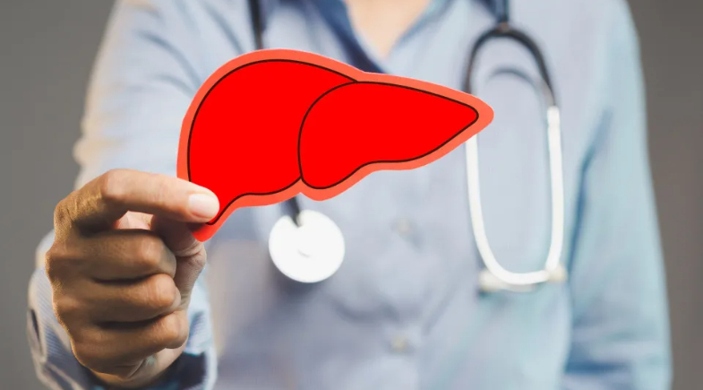 Cuidados necessários para sua saúde hepática | Reprodução/ Freepink