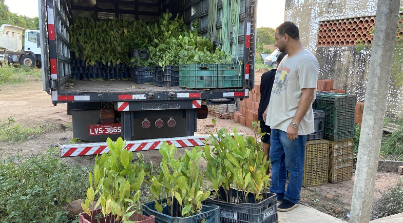 Valença do Piauí recebe mudas da SEMARH para ações ambientais