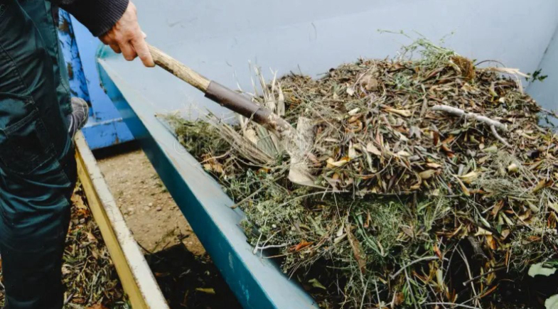 Prefeitura de Parnaguá orienta população sobre descarte correto de resíduos de podas 