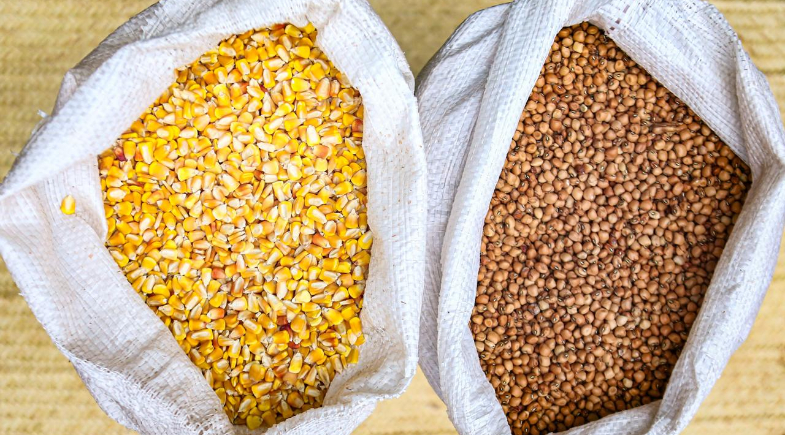 Prefeitura de Caraúbas do Piauí promoverá distribuição de sementes para agricultores do município