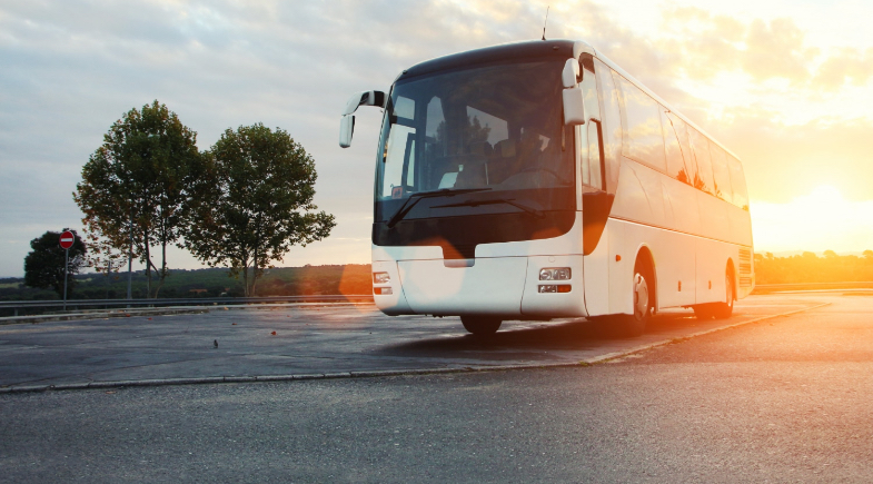 Transporte gratuito  | Reprodução 
